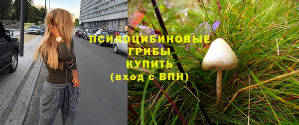 сатива Нефтекумск