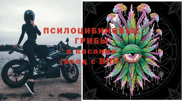 сатива Нефтекумск