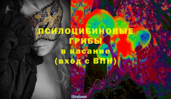 сатива Нефтекумск
