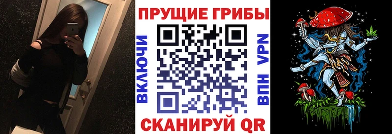 Галлюциногенные грибы мухоморы  Цоци-Юрт 