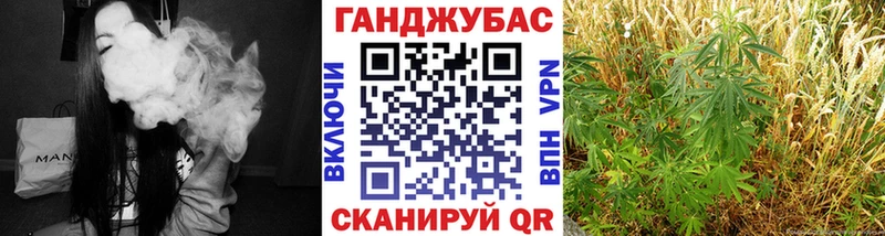 Конопля ГИДРОПОН Цоци-Юрт